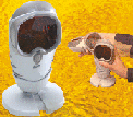 Duet Projection Laser Scanner